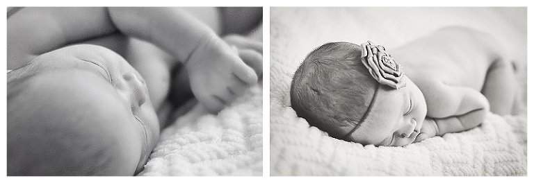 bay area newborn photographer