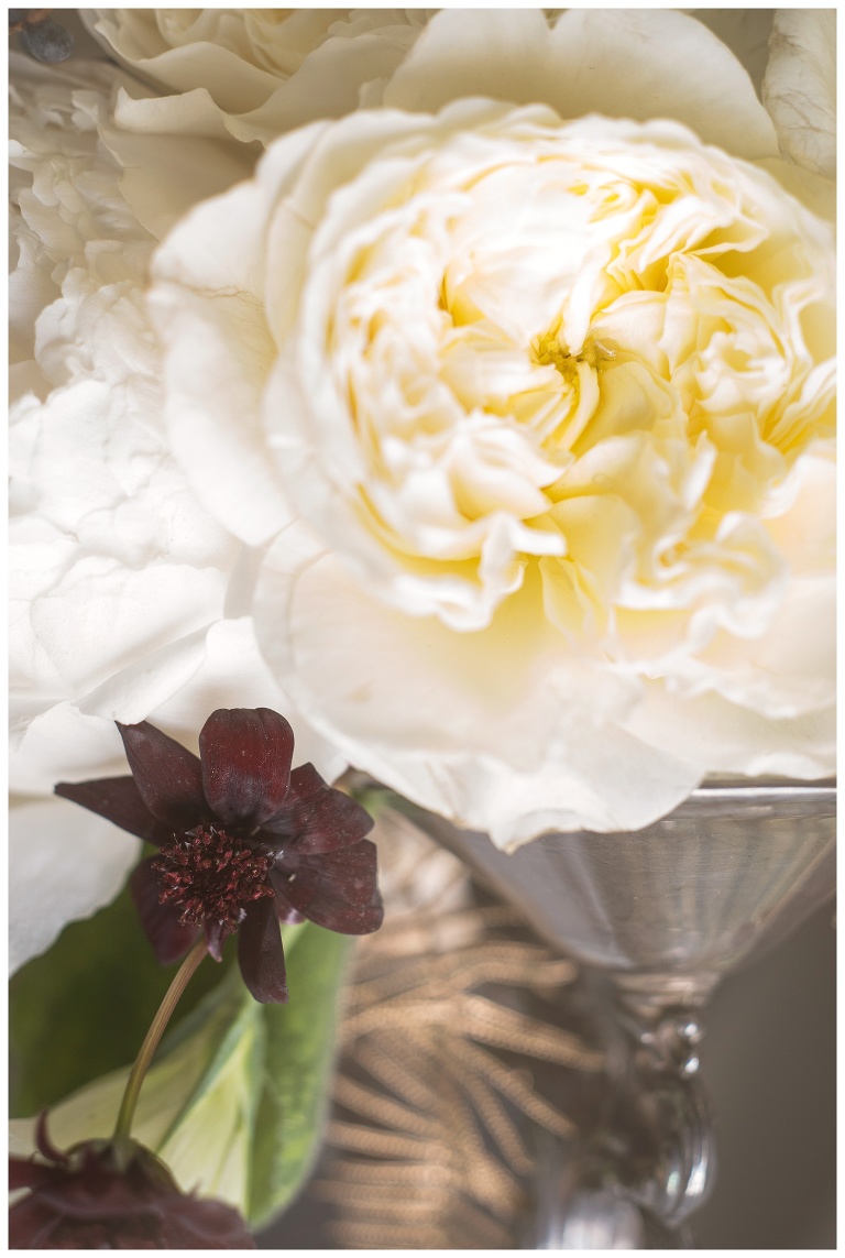 Fremont Area Photographer