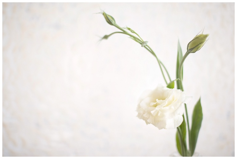 Bay Area Event Photography