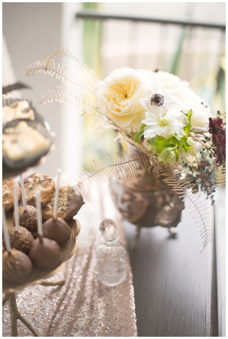 Danville Area Photographer