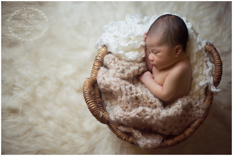 Danville Newborn Photographer
