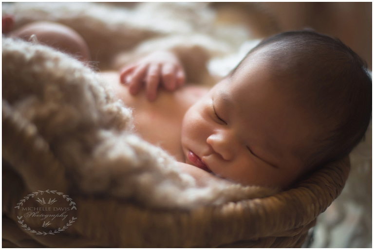 Fremont Newborn Photographer