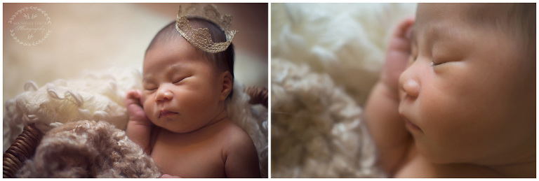 Fremont Newborn Photography