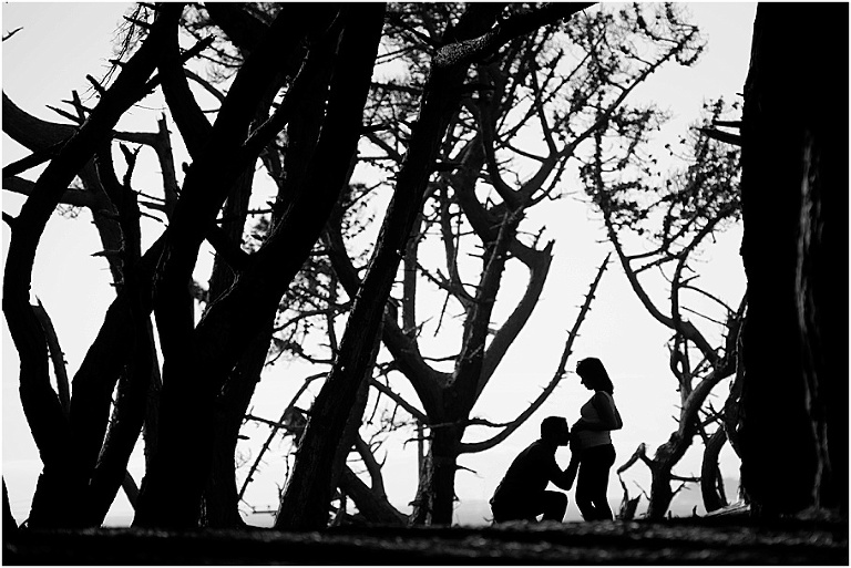 Bay Area Maternity Photography